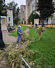 Субботники по уборке территории
