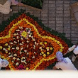 IMG_1436.jpg
